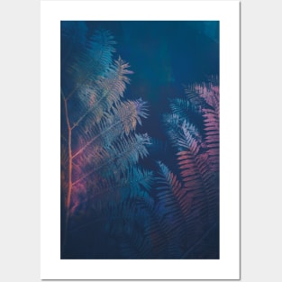 Abstract fern Posters and Art